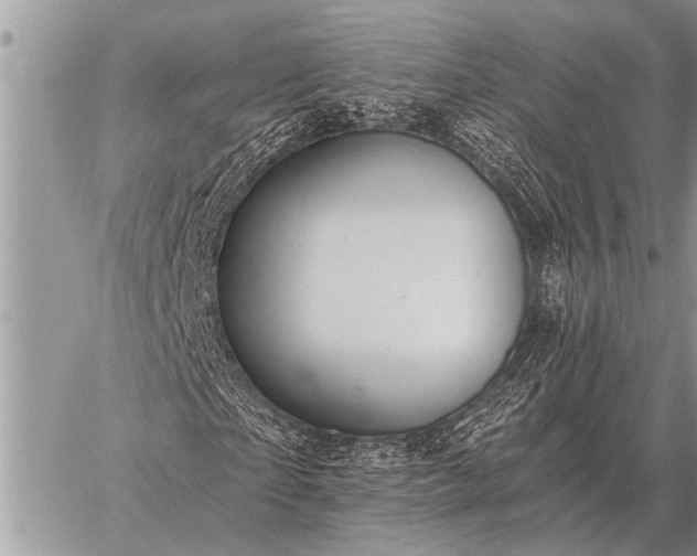 X0000059040865200510171846