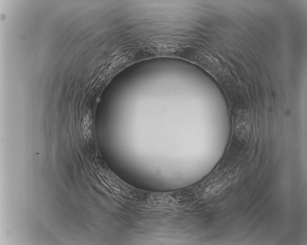 X0000059040866200510171846