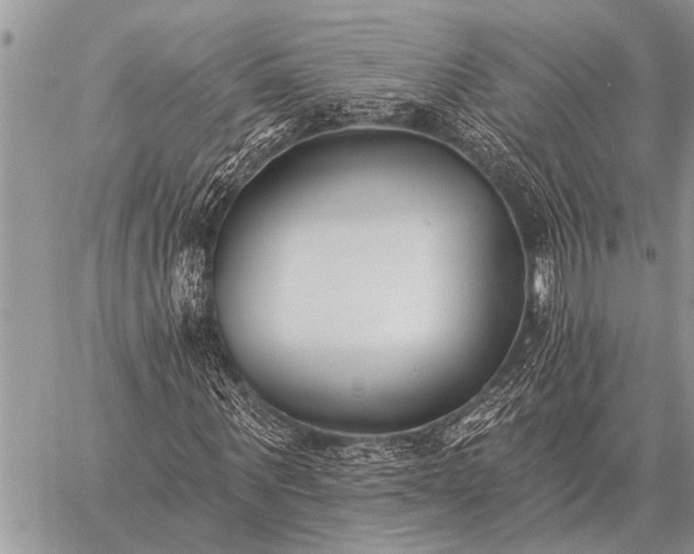 X0000059040867200510171846