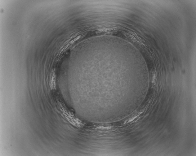 X0000059040868200510171846