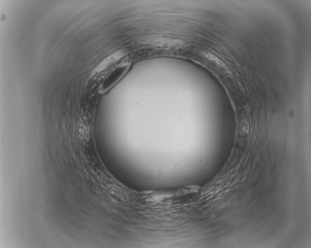 X0000059040869200510171846