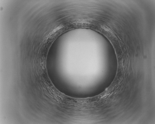 X0000059040870200510171846