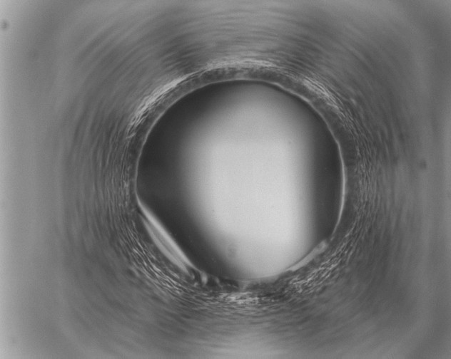 X0000059040872200510171846