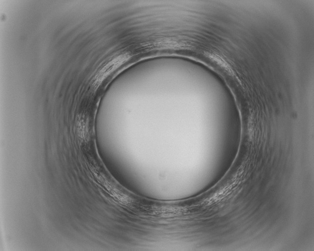 X0000059040873200510171846