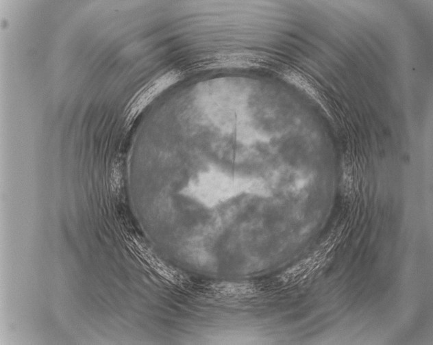 X0000059040874200510171846