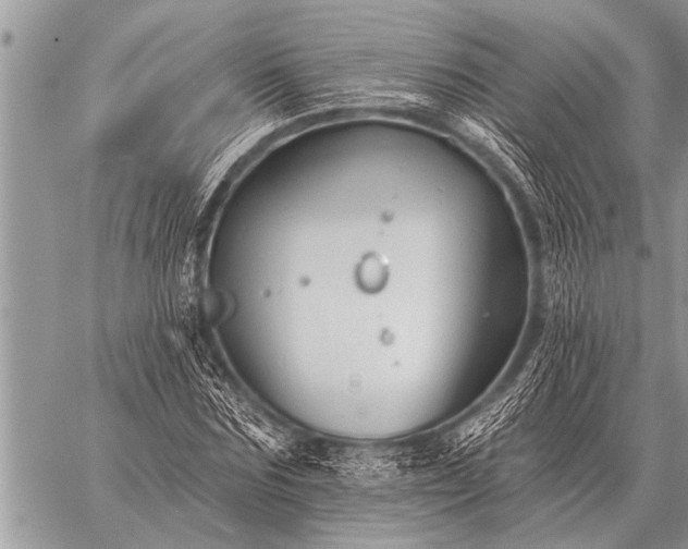 X0000059040875200510171846