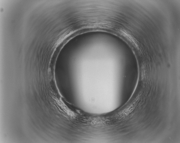 X0000059040876200510171846