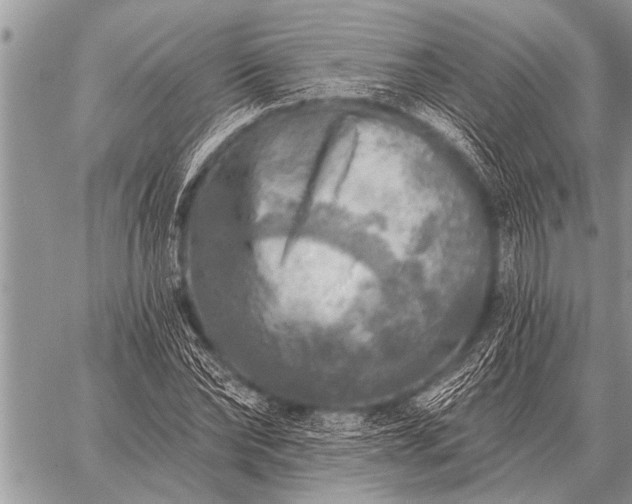 X0000059040878200510171846