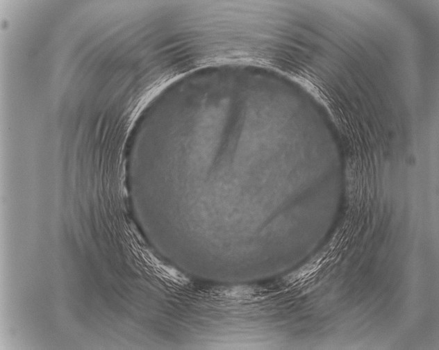 X0000059040879200510171846