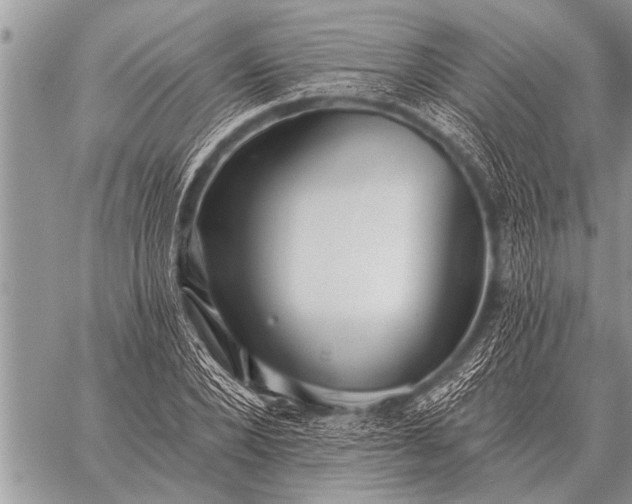 X0000059040880200510171846