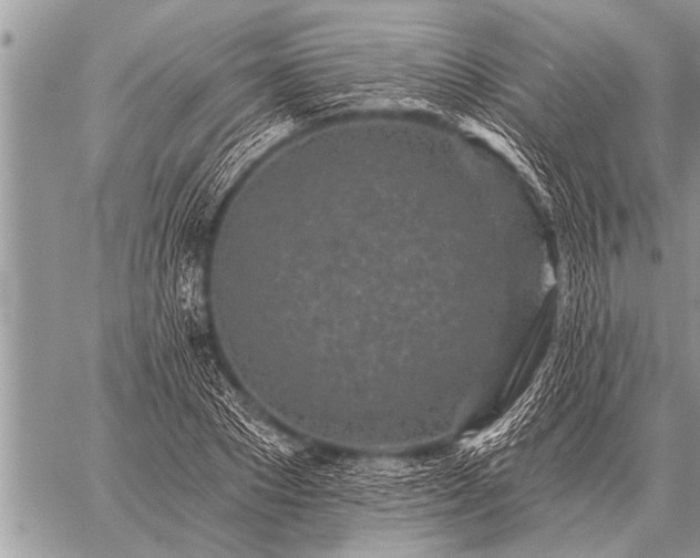 X0000059040881200510171846