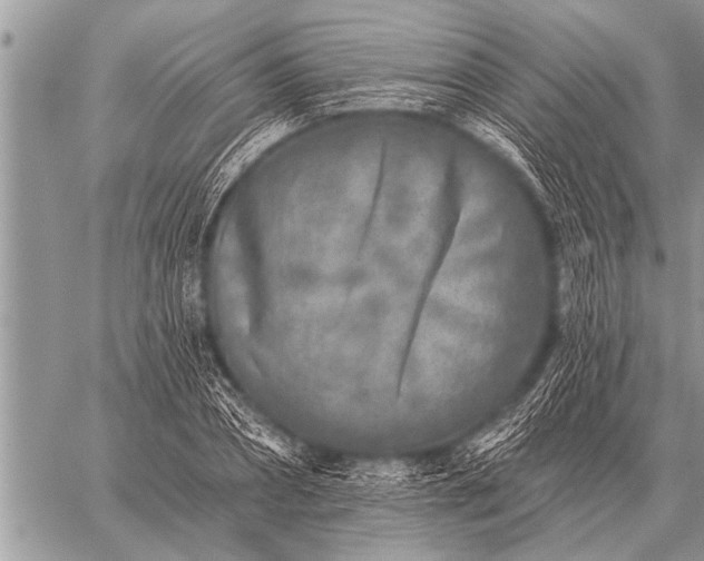 X0000059040882200510171846