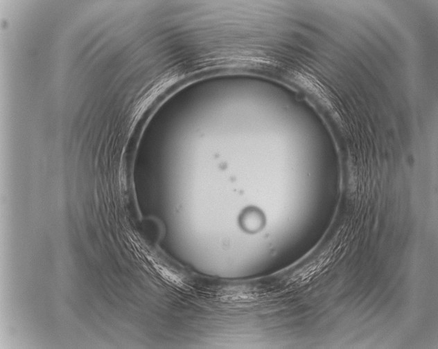 X0000059040883200510171846