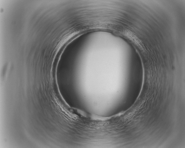 X0000059040884200510171846