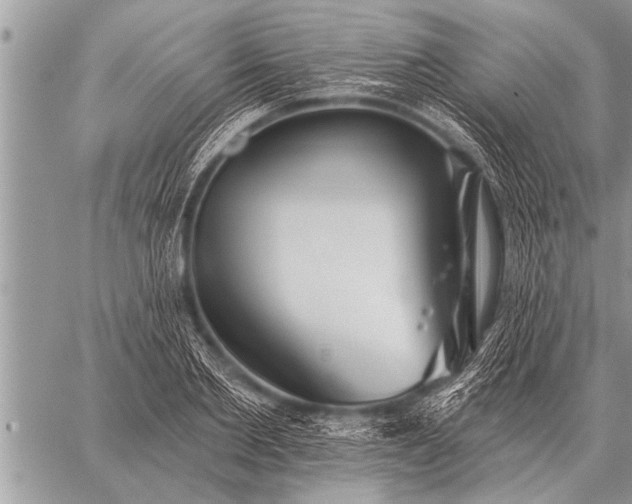 X0000059040885200510171846