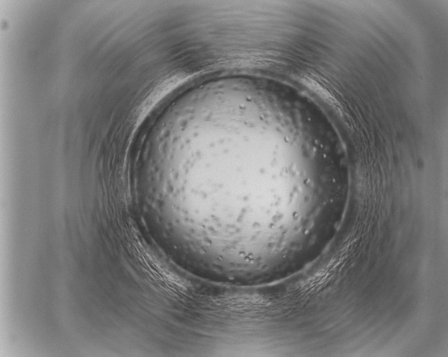 X0000059040886200510171846