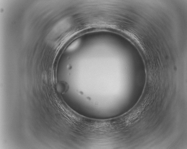 X0000059040887200510171846