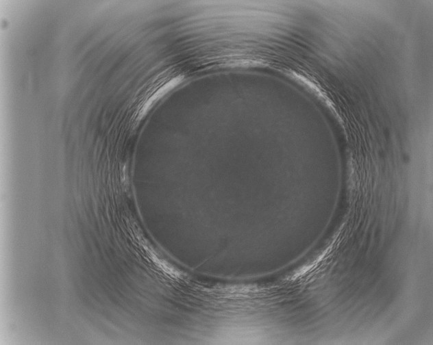 X0000059040889200510171846