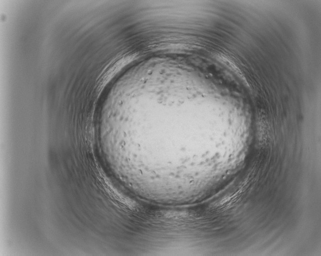 X0000059040890200510171846