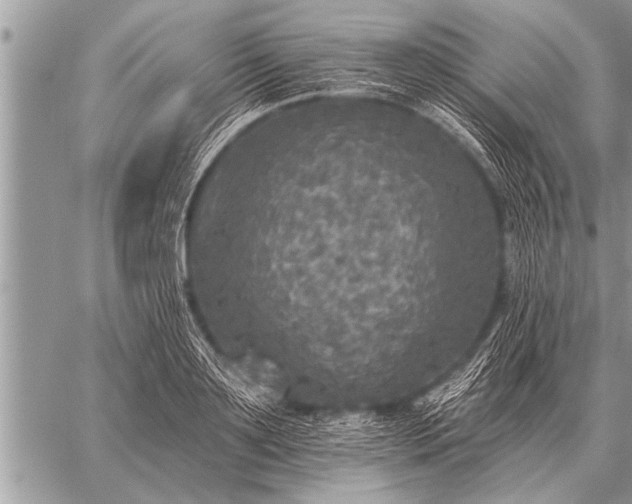 X0000059040891200510171845