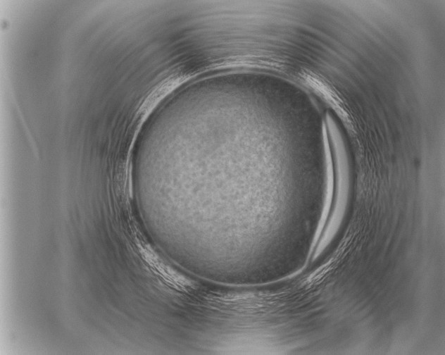 X0000059040892200510171845