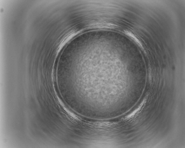 X0000059040893200510171845