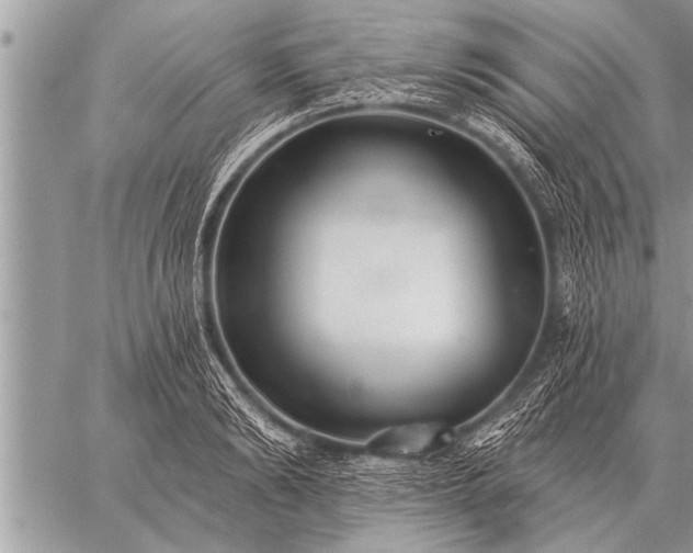 X0000059040894200510171845