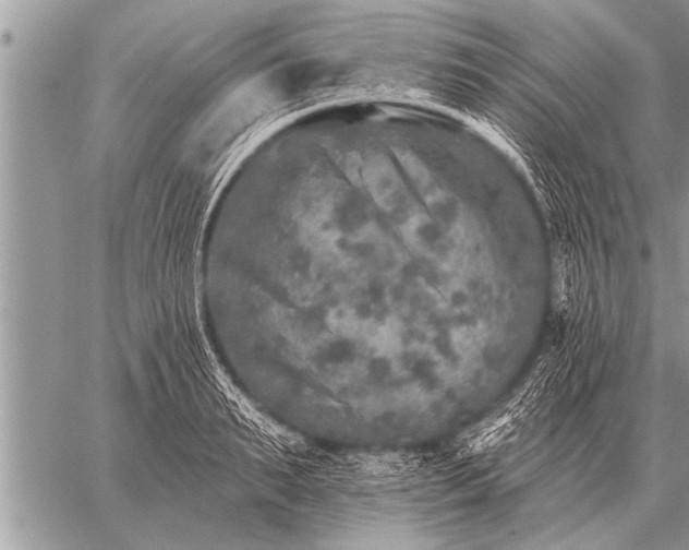 X0000059040895200510171845