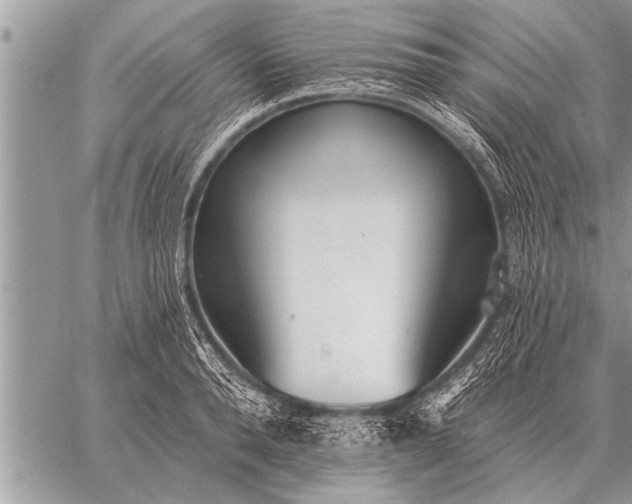 X0000059040896200510171845