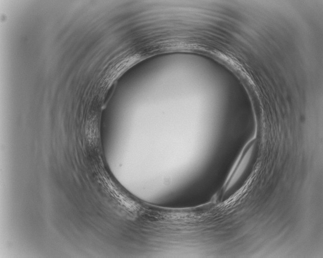 X0000059040897200510171845