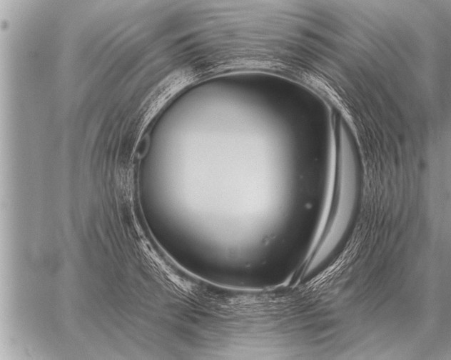 X0000059040898200510171845