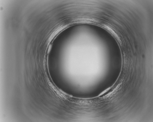 X0000059040901200510171845