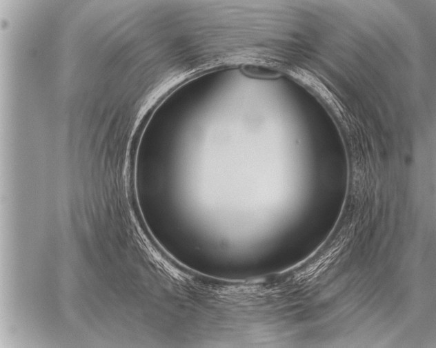 X0000059040902200510171845