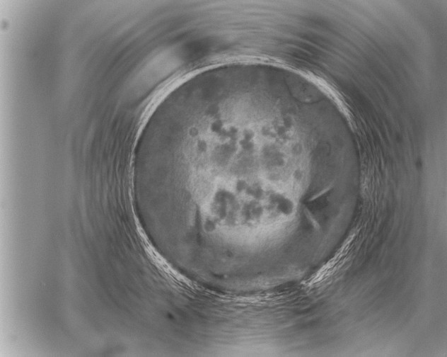 X0000059040903200510171845