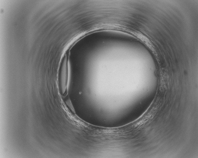 X0000059040904200510171845