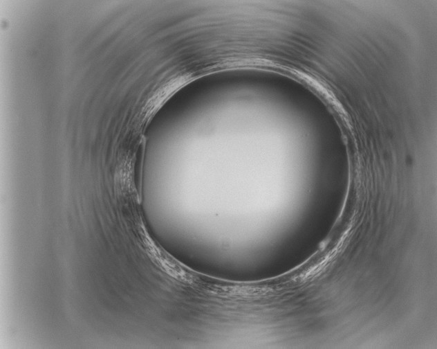 X0000059040905200510171845