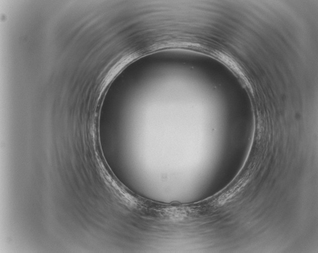 X0000059040906200510171845