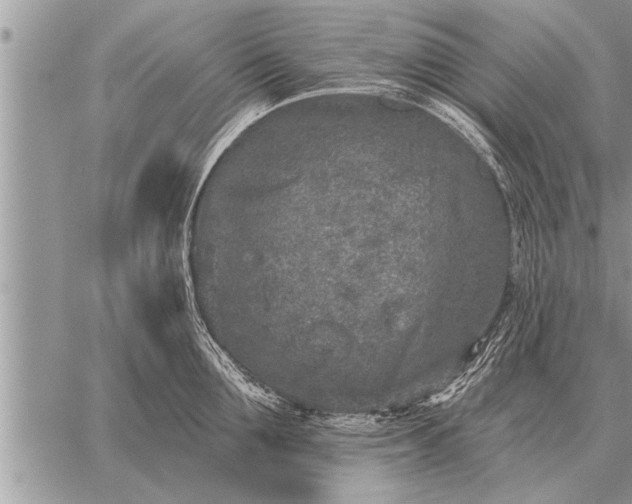 X0000059040907200510171845