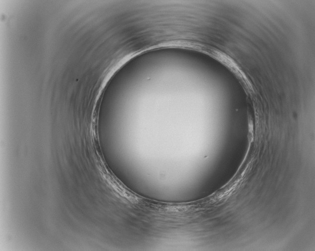 X0000059040908200510171845