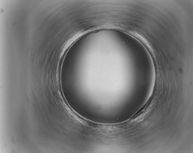 X0000059040910200510171845