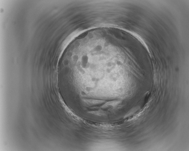 X0000059040911200510171845