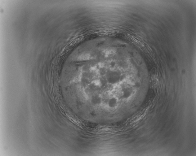 X0000059040913200510171844