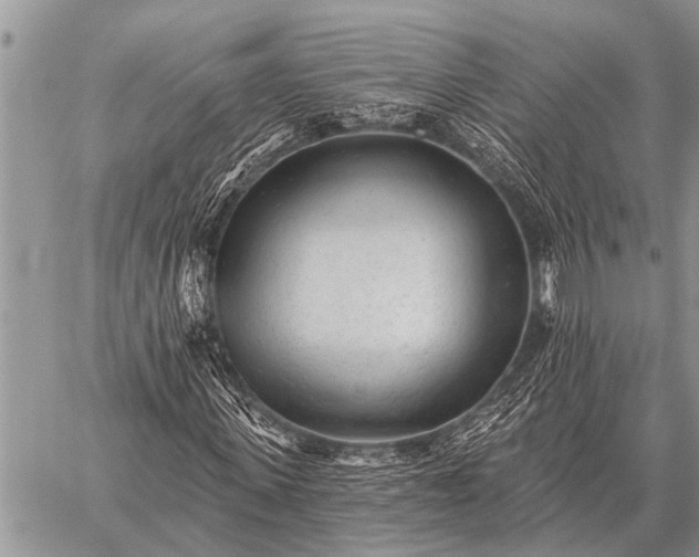 X0000059040915200510171844