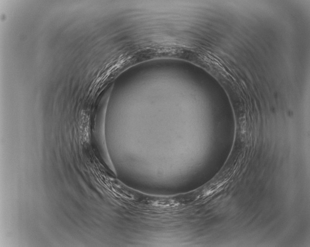 X0000059040916200510171844