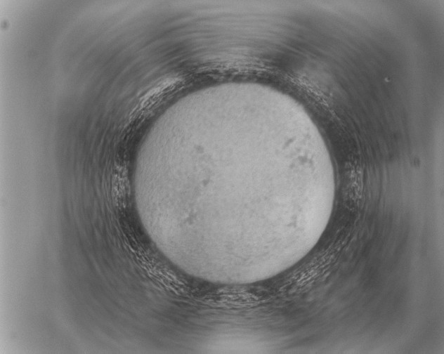 X0000059040918200510171844