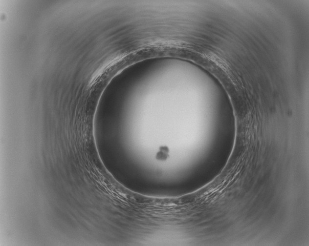 X0000059040919200510171844