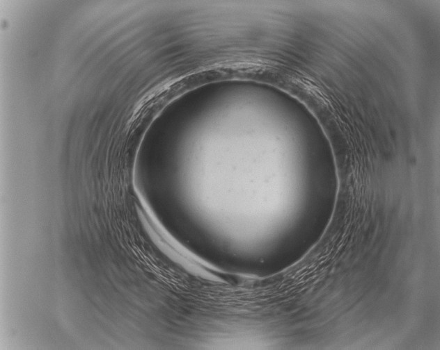 X0000059040920200510171844