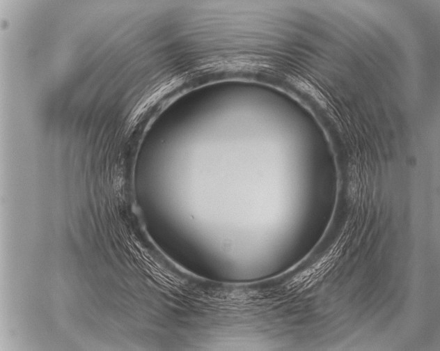 X0000059040922200510171845