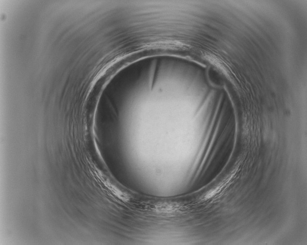 X0000059040923200510171845