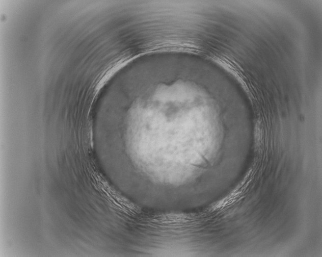 X0000059040925200510171845